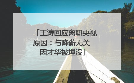 王涛回应离职央视原因：与降薪无关 因才华被埋没