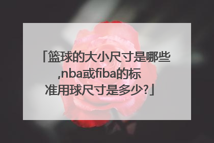 篮球的大小尺寸是哪些,nba或fiba的标准用球尺寸是多少?