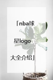 「nba球星logo大全介绍」nba球星logo图片大全